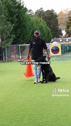 Effective Dog Training Techniques for Obedience