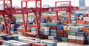 China reopens market to US poultry imports