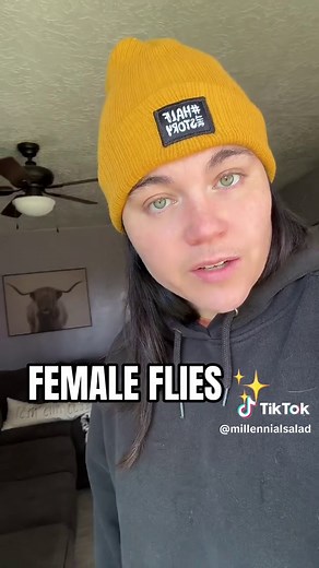 Surprising Behavior of Male and Female Flies