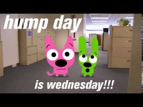 hoops&yoyo hump day song