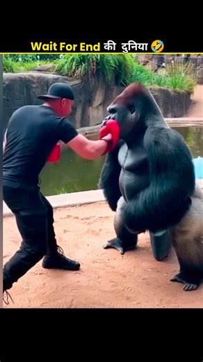 जानवरों के गज़ब कारनामें 😱 देखकर चौंक जाओगे 🤯 #shorts