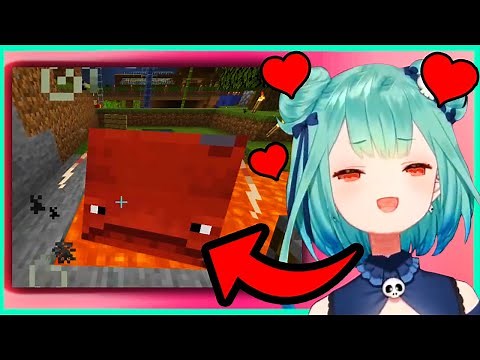 Rushia Accidentally Kills her New Pet in Minecraft!