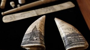 The Industry of Van Diemen's Land: Scrimshaw art - ABC Education