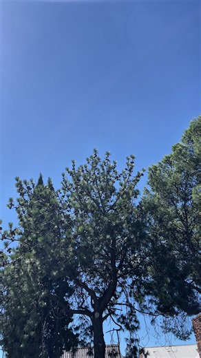 Texas Grill & Barbecue Opens on King Edward Street!