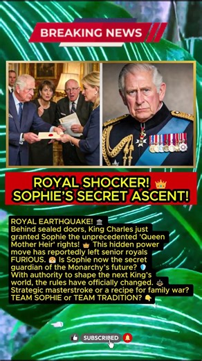 QUEEN MOTHER HEIR! ⚖️ Why Sophie Is Now The Most Powerful Woman In The Palace! 💥🛡️
