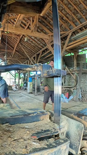 fast woodcutting show | Sawmill & Woodworking