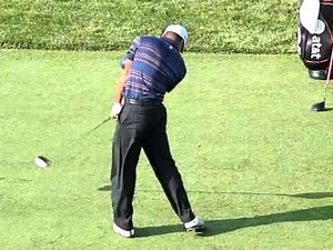 Tiger Woods back view 2009 Hazeltine PGA Championships