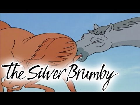 The Silver Brumby - Episode 1 | Arrow Is Cornered | HD | Full Episode | Videos For Kids