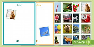 Living and Nonliving Things Photo Sorting Worksheet