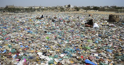 La croissance économique est la cause principale de la crise environnementale, selon le «GIEC de la biodiversité»