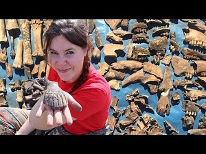 Archaeology Workshop #2 - Animal Bones!