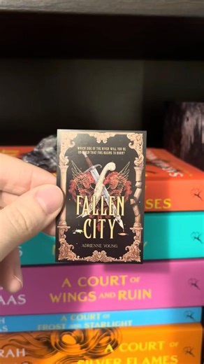 Bookish Box Fallen City by Adrienne Young #booktube