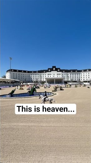 Equestrian heaven exists 🐎✨️ #LLN