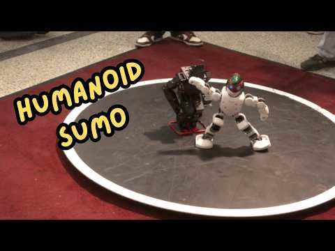 Humanoid Sumo Robot Challenge Bucharest Romania 2025 #house_of_robots #legorobotics #sumo