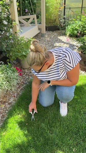 An Easier Way to Mow the Lawn? Meet the Sunseeker S4🌱
