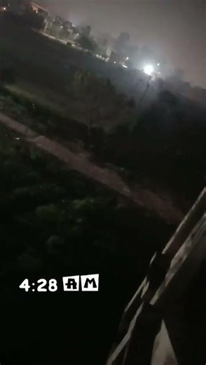 #Bird Chirp (Nature Sound)