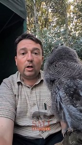 update from me and Earl! he's doing so well and big things are coming 😊 thanks for the amazing support as always ❤️ | SMJ Falconry