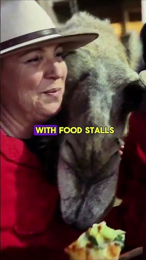 You Won’t Believe This Camel Race in the Australian Desert!