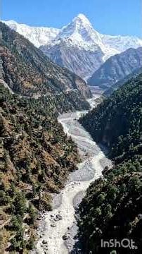 Dali Dali Phoolon Ki