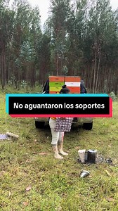 #sobrevivencia#cuidaralasabejas🐝#apicolaurbana#cosecha#polinizadoras
