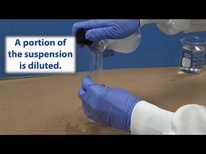 Fiber Analysis - Sample to Report