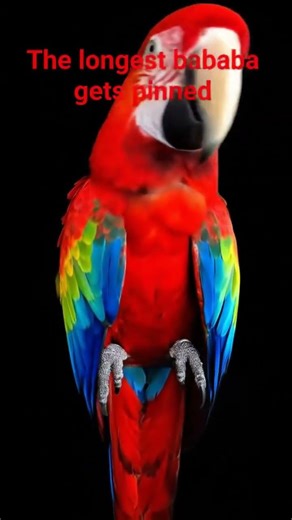 #helpmemakethismakesense #fortnitememes