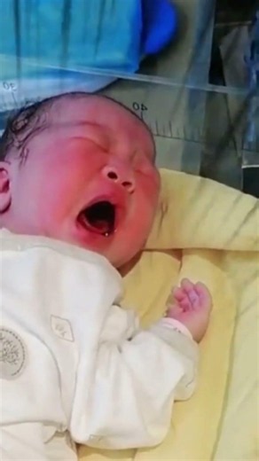 The newborn started crying before even opening its eyes