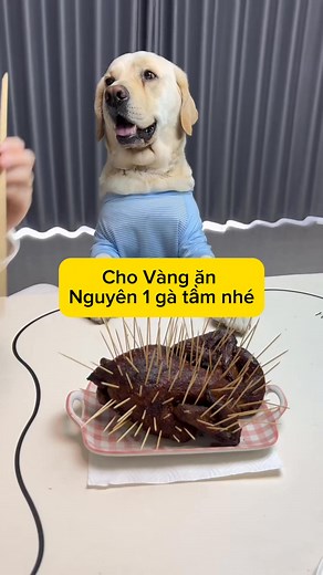 Cha ông ta thường nói : của cho không bằng cách cho🤣🤣 #reelsvideoシ #chomeohaihuoc #yeuchomeo | Yêu Chó Mèo