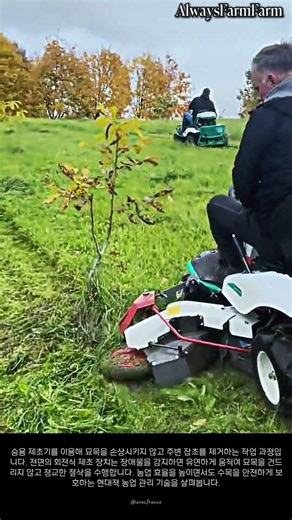 승용 제초기를 활용하여 묘목 주변을 안전하게 관리하는 작업 현장 #farming #farmlife #livestock #mowing #landmanagement