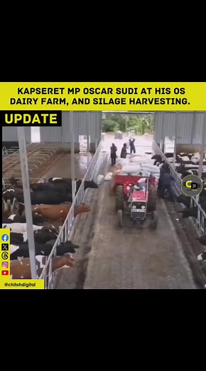 KAPSERET MP Hon Oscar Sudi at his OS Dairy farm, and Silage harvesting. | Chitoh Digital Networks