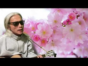 春なのに / 宮本浩次 cover
