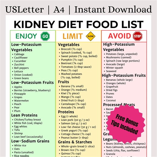 Kidney Friendly & Renal Diet Food List | Low Potassium Low Sodium for Kidney Disease | Kidney Health Food Chart | Grocery List | Meal Plan - Etsy