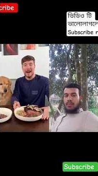 Feeding A Dog $1 vs $10,000 Steak