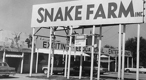See Texas Hill Country's Snake Farm That's Been Around For 50  Years