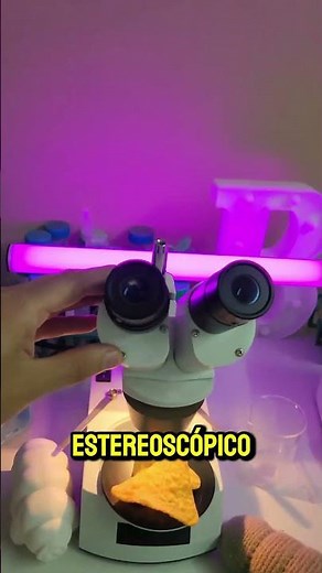 Doritos Under The Microscope 🔬