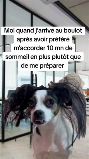 Moi au boulot après 10 minutes de sommeil de plus — 2026
