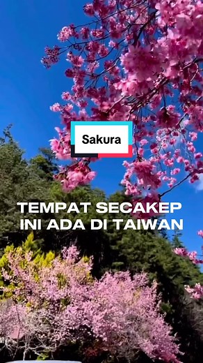 Exploring the Beauty of Wuling Farm in Taichung, Taiwan