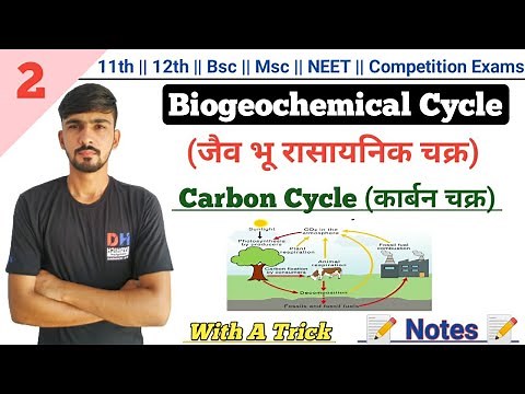 Carbon Cycle In Hindi || Biogeochemical Cycle || Environmental Biology || By Dadhich Sir