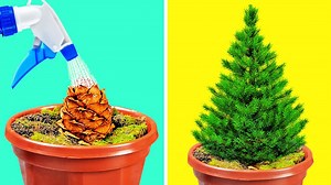 10M views · 75K reactions | Useful hacks to grow your own garden.  | 5-Minute Crafts | Facebook
