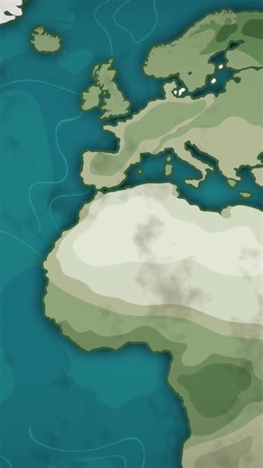 Girl who slept for ten years 😴Doctors were confused 😱 no one knew why #Medical #Mystery #TrueStories #MindBlowing