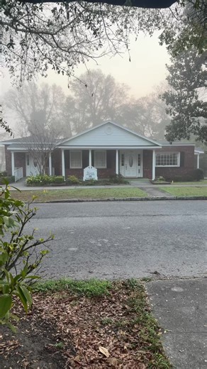 Shelby ☀️🍓🍄 (@shelbytakesnc)’s videos with original sound - Shelby ☀️🍓🍄