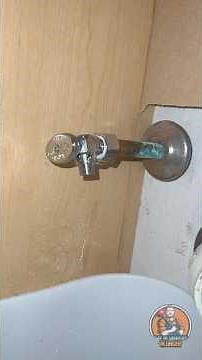 Water Shutoff Valve Replacement