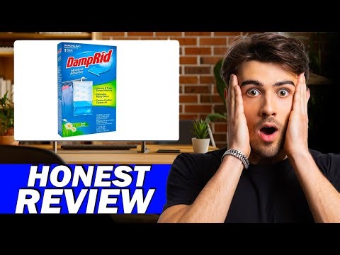 DampRid FG80 Fresh Scent Hanging Moisture Absorber 6 Pack Review – Does It Really Work?