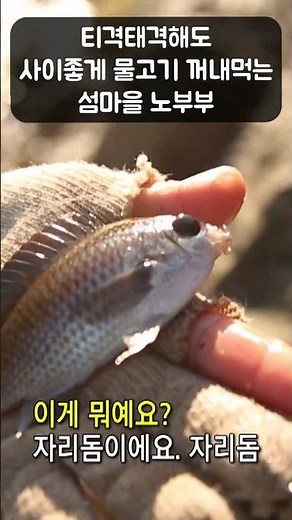 티격태격해도 사이좋은 섬마을 노부부 #Shorts #골라듄다큐