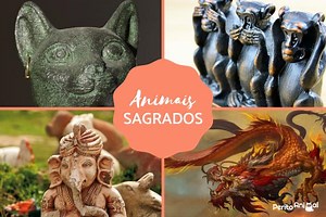 26 Animais SAGRADOS: da Índia, China, Japão, Egito e mais