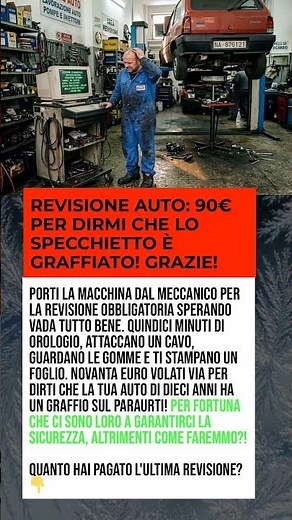 REVISIONE AUTO: 90€ PER DIRMI CHE LO SPECCHIETTO È GRAFFIATO! GRAZIE!