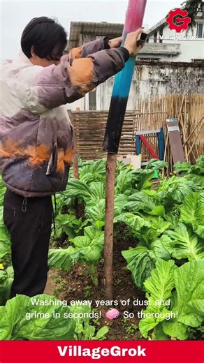 DIY Garden Pest Control: Man Power-Washes Dirt and Grime from Outdoor Unit