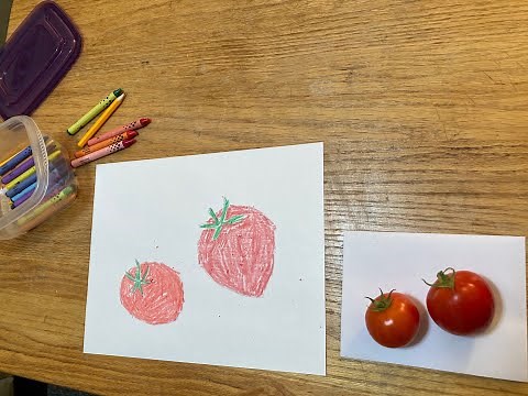 Observational Drawing - Fruit or Vegetable