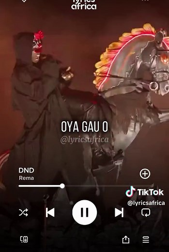 Rema - DND (Lyrics)