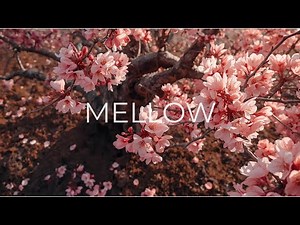 Relaxing Guitar Music for Sleep & Stress Relief Calm Acoustic Healing Sounds